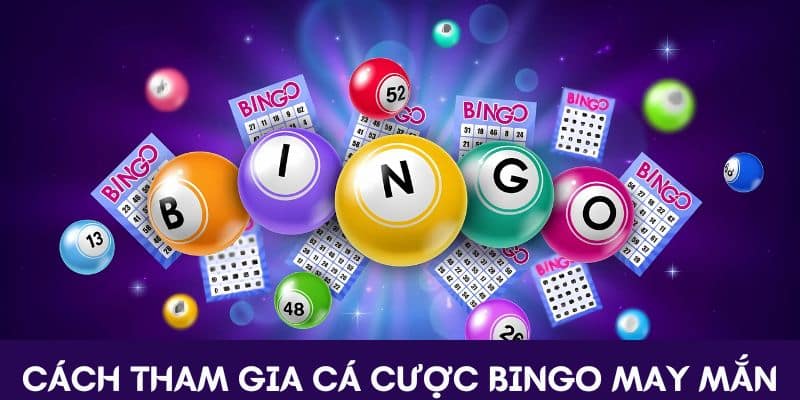 Bingo May Mắn