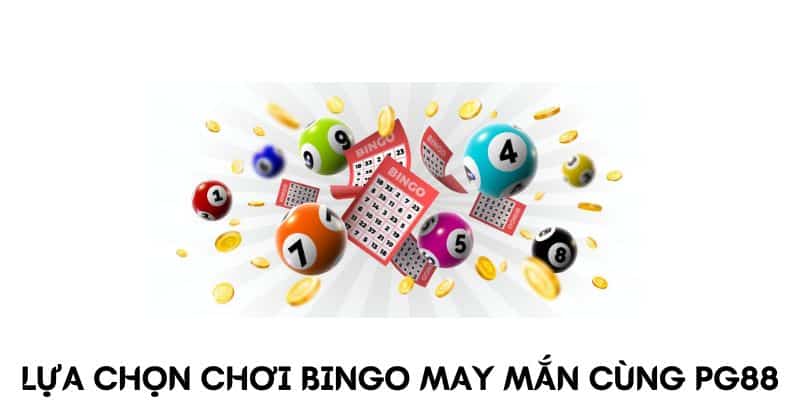 Bingo May Mắn